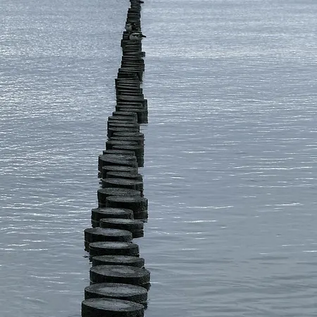 Oceanview Baltyk -bezplatny Parking * 格丁尼亚