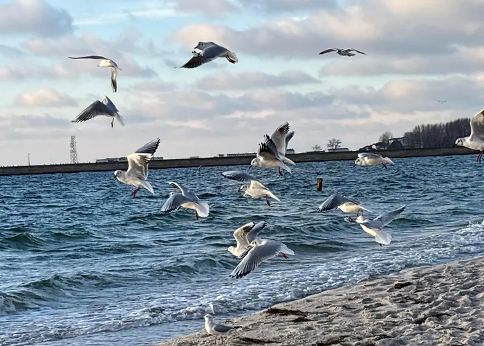 Oceanview Baltyk -bezplatny Parking Gdynia